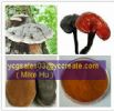 Ganoderma Lucidum Spore Powder